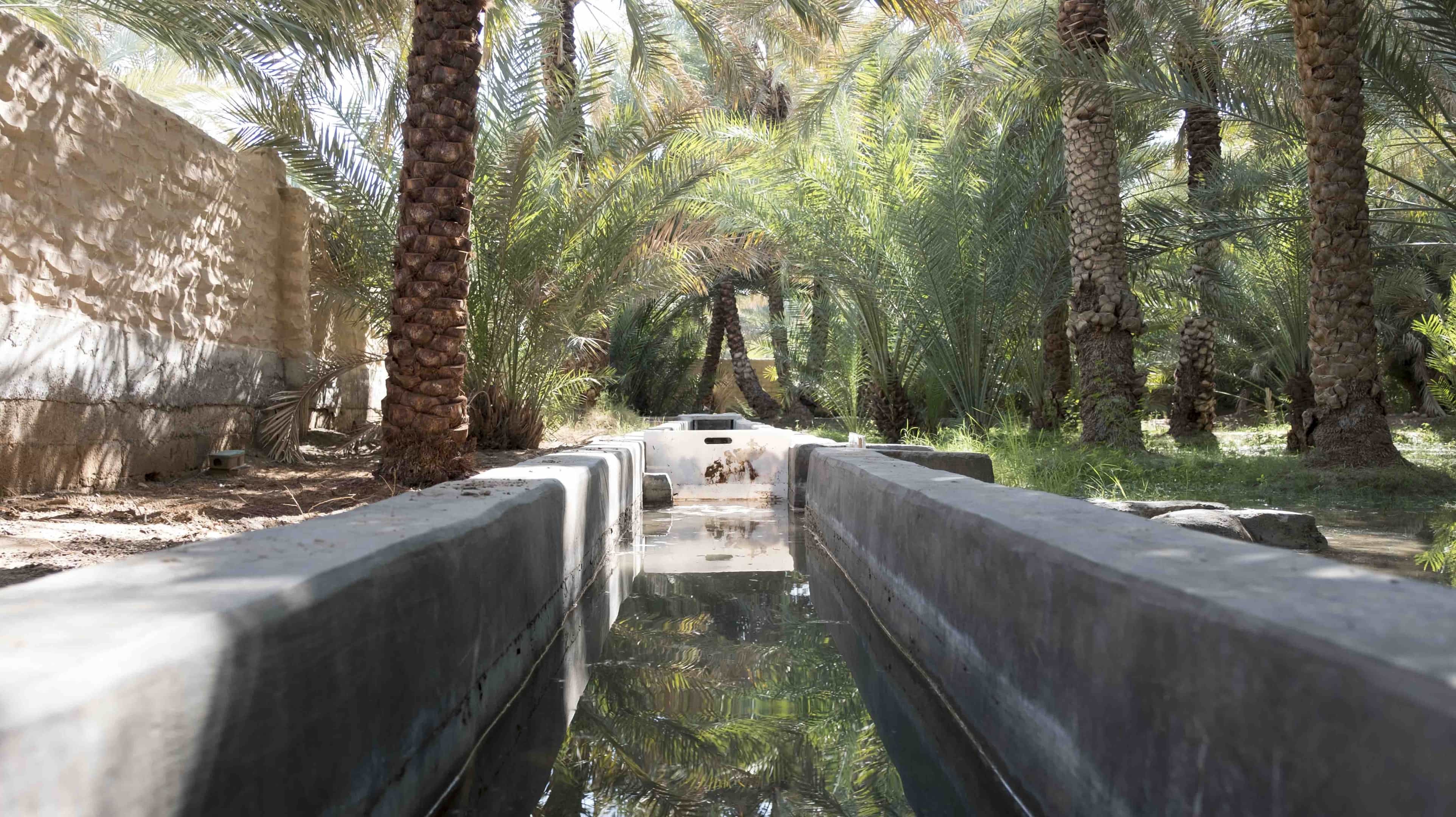 Oasis Al Hili