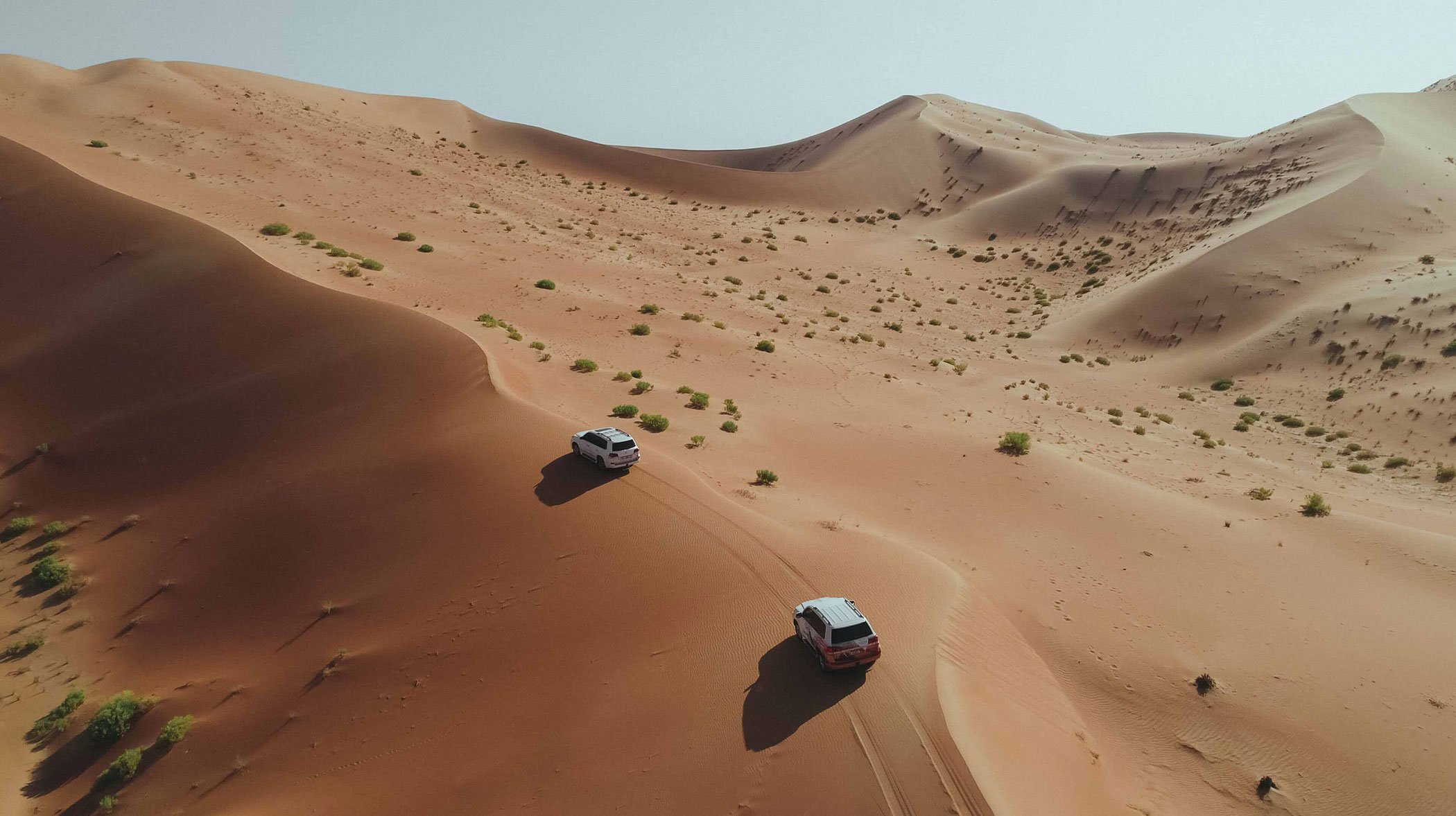 2. Conduce por el desierto