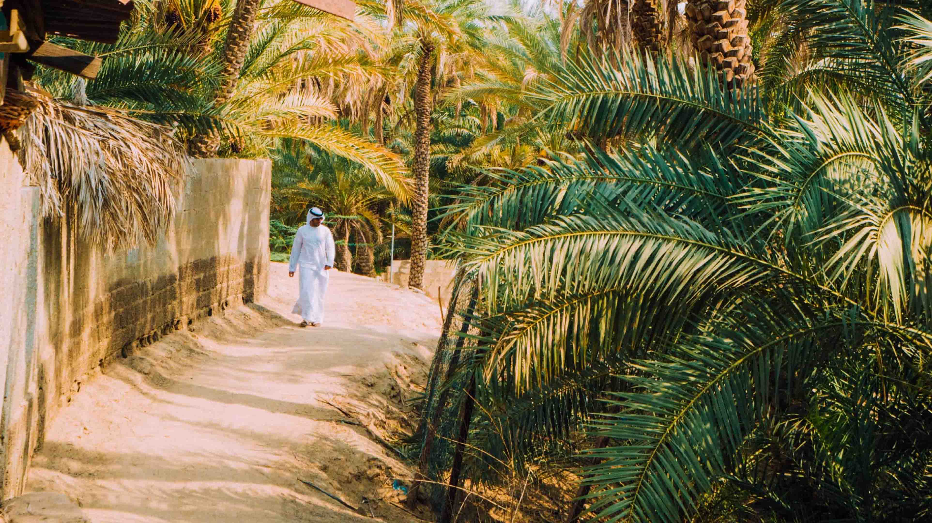 Oasis de Al Ain